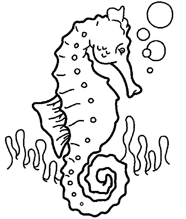 ocean life coloring pages for preschoolers - photo #24